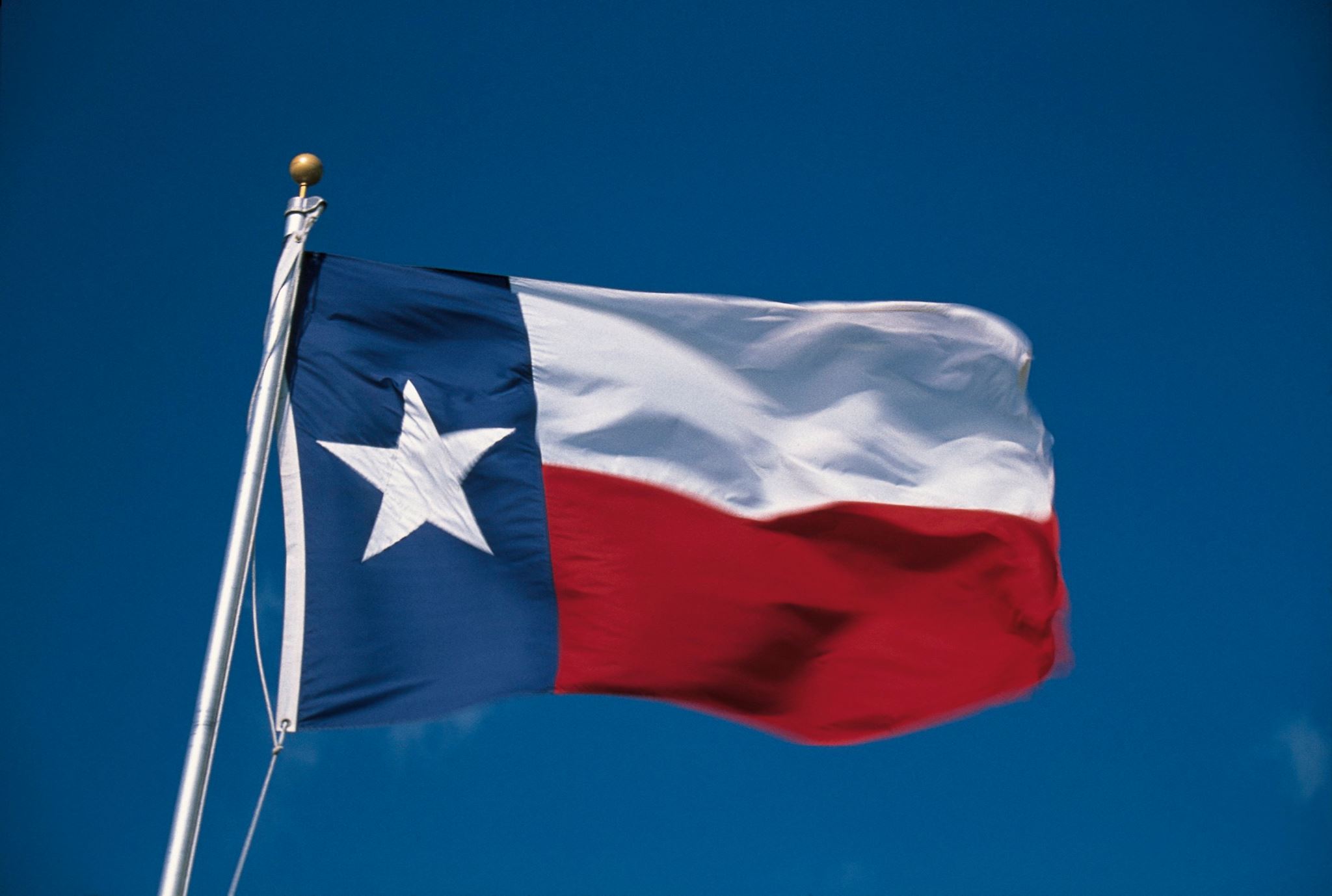 Texas Flag
